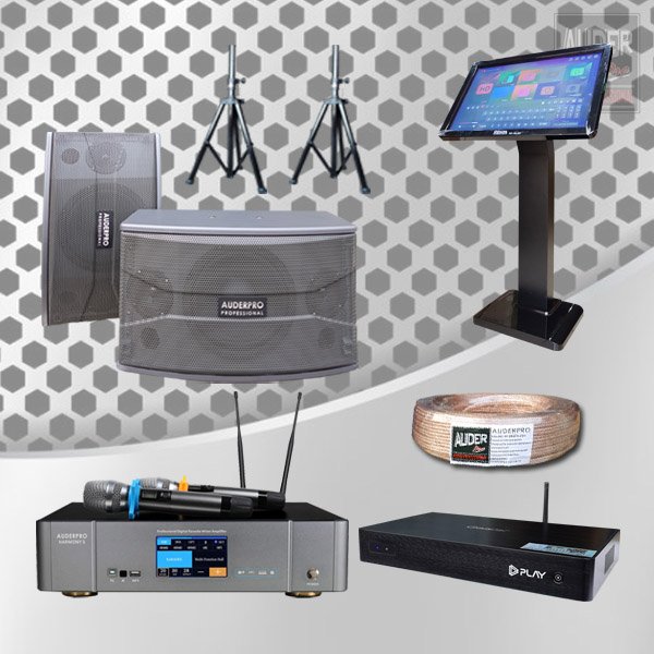 KARAOKE D11 AUDERPRO GEISLER